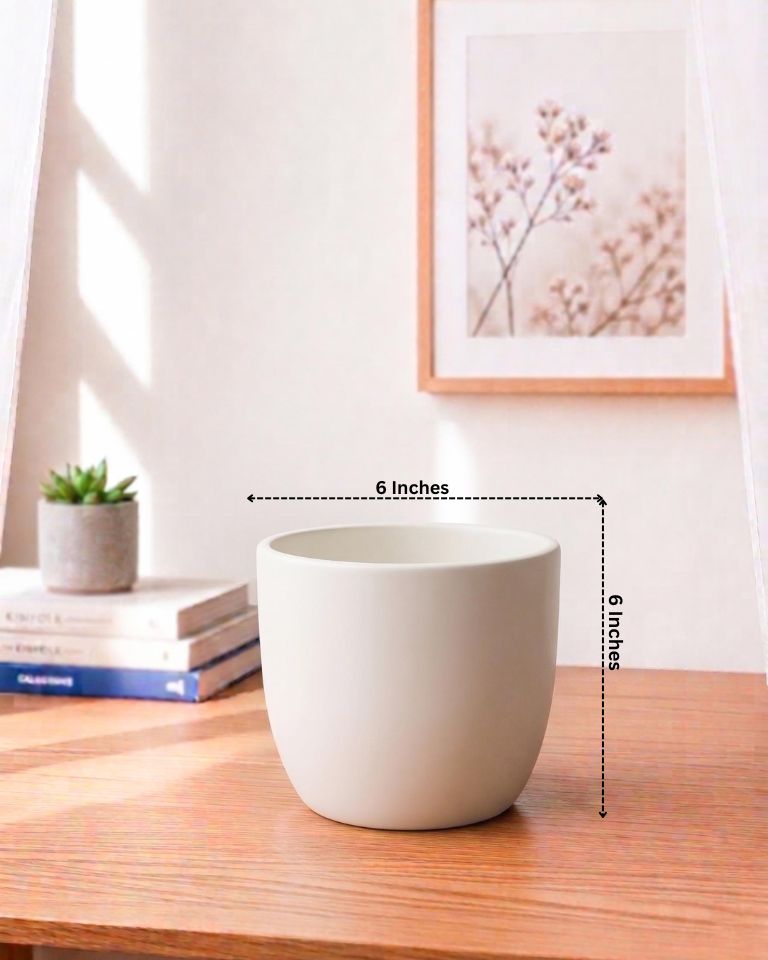 Plain Ceramic Pot