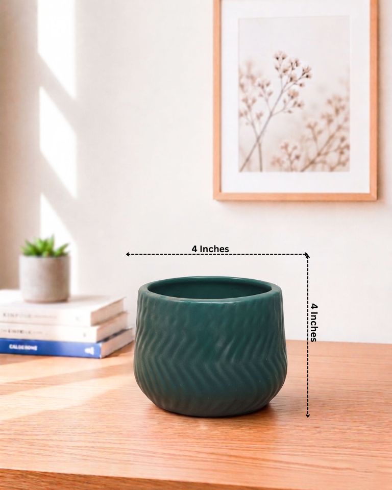 Waved Minimal  Ceramic Pot