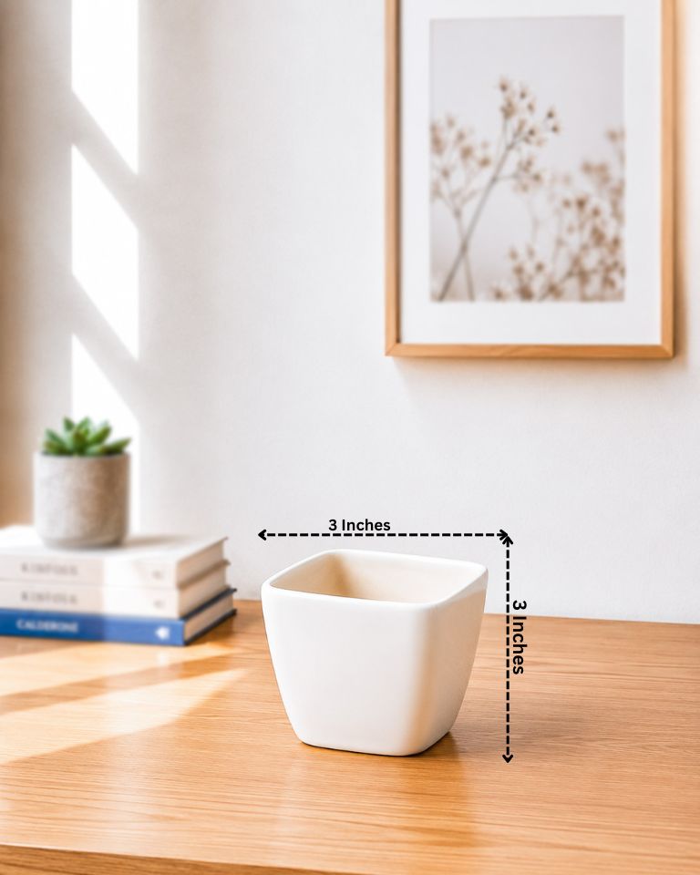 Ceramic Square Pot