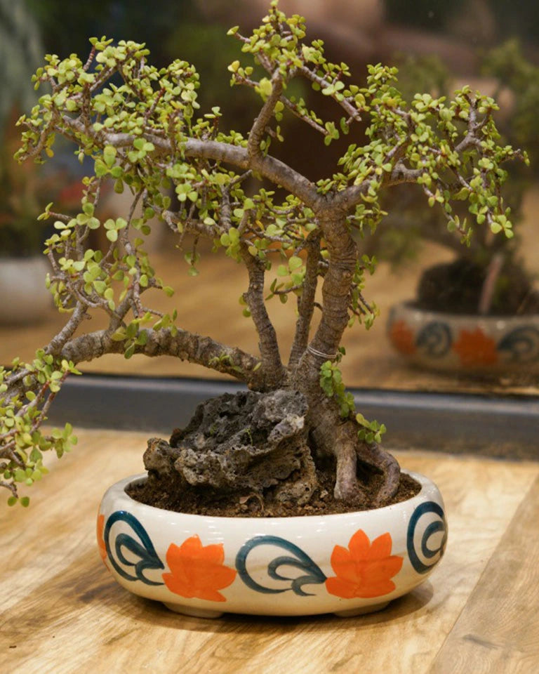 Bonsai Tray Flower Print - Unlimited Greens