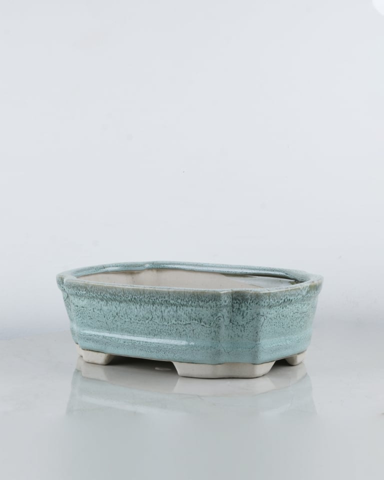 Ceramic Bonsai Tray