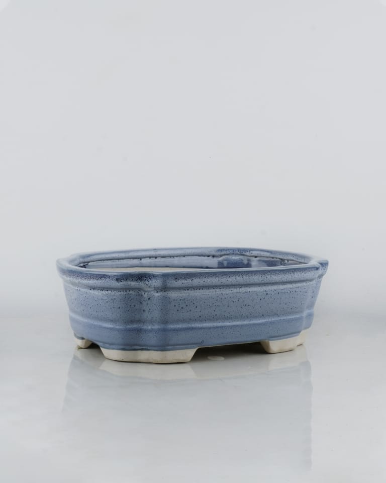 Ceramic Bonsai Tray