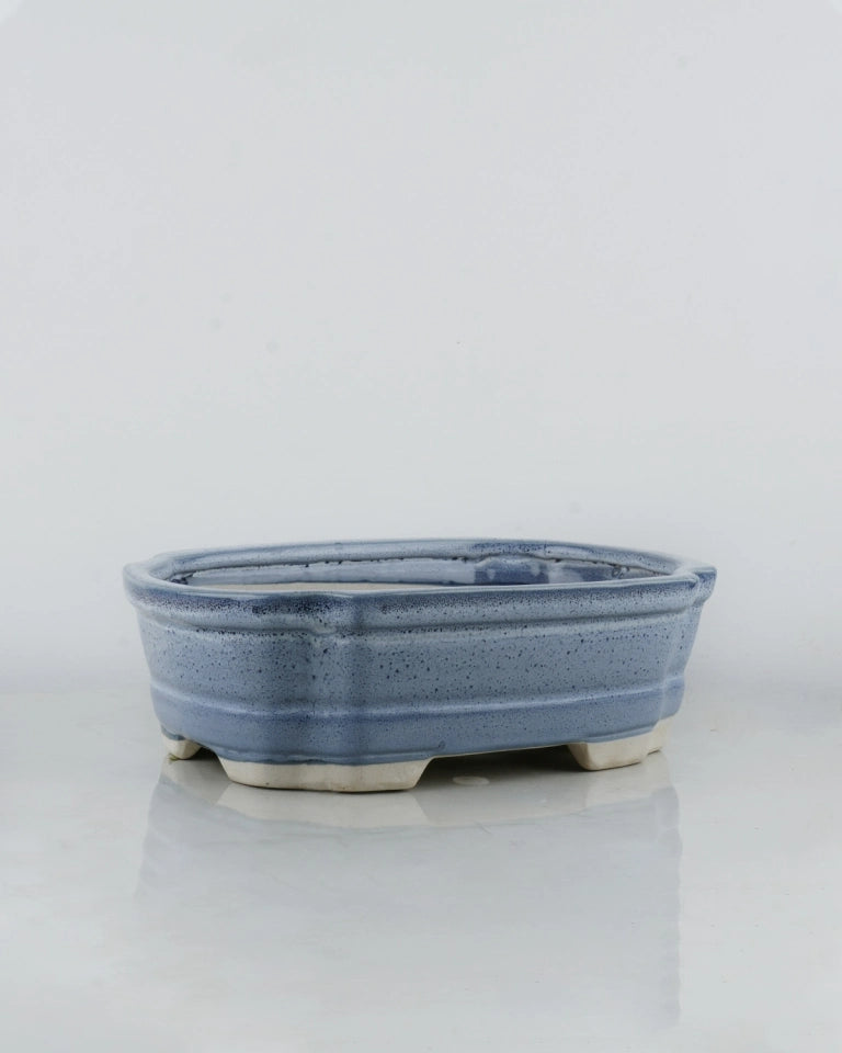 Aqua Ceramic Bonsai Tray pot - Unlimited Greens
