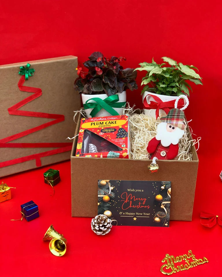 Christmas Gift Hamper