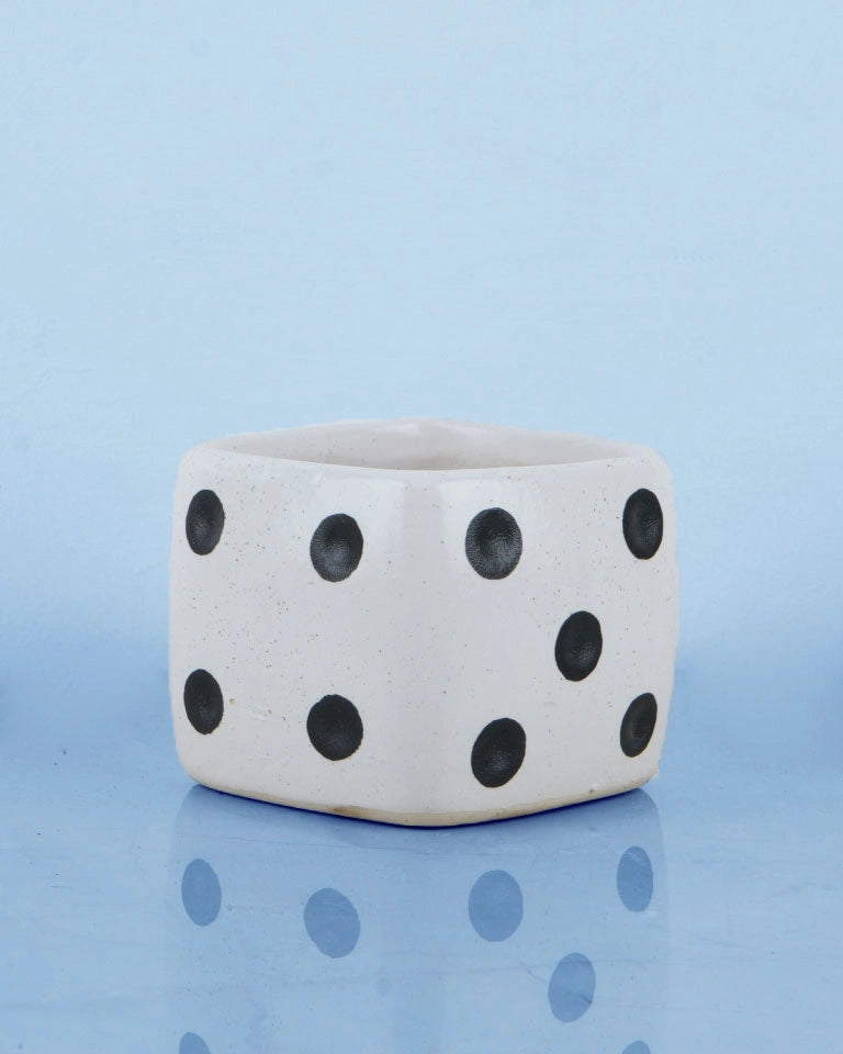 Unique pots for succulents, Unlimited Greens