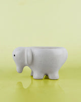 Elephant Shaped pot online - Unlimited Greens