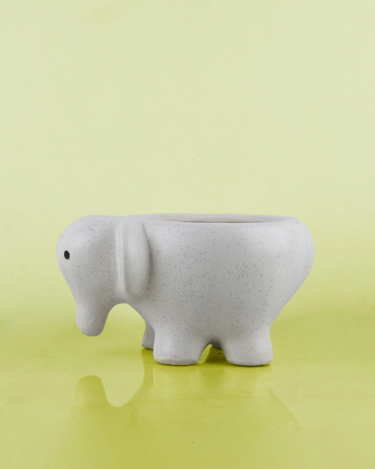 Elephant Shaped pot online - Unlimited Greens