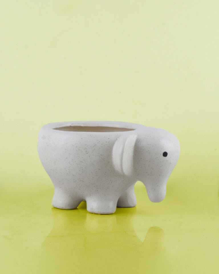 Elephant Shaped pot online - Unlimited Greens