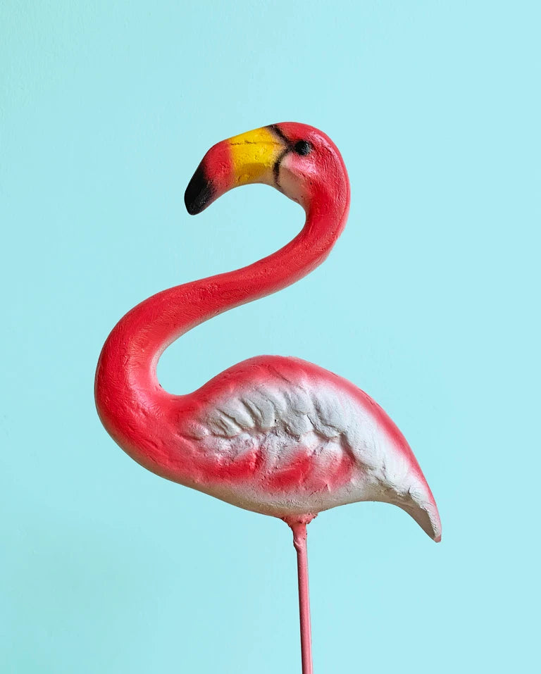 Flamingo buy online India, Unlimited Greens