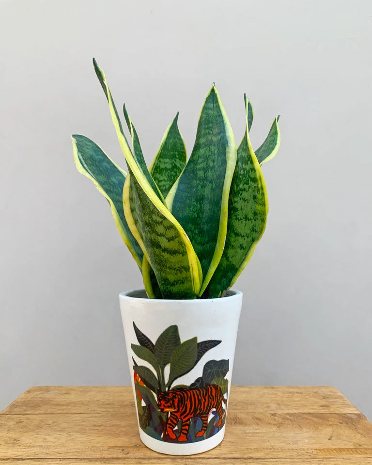Jungle Print Flower Pot - Unlimited Greens