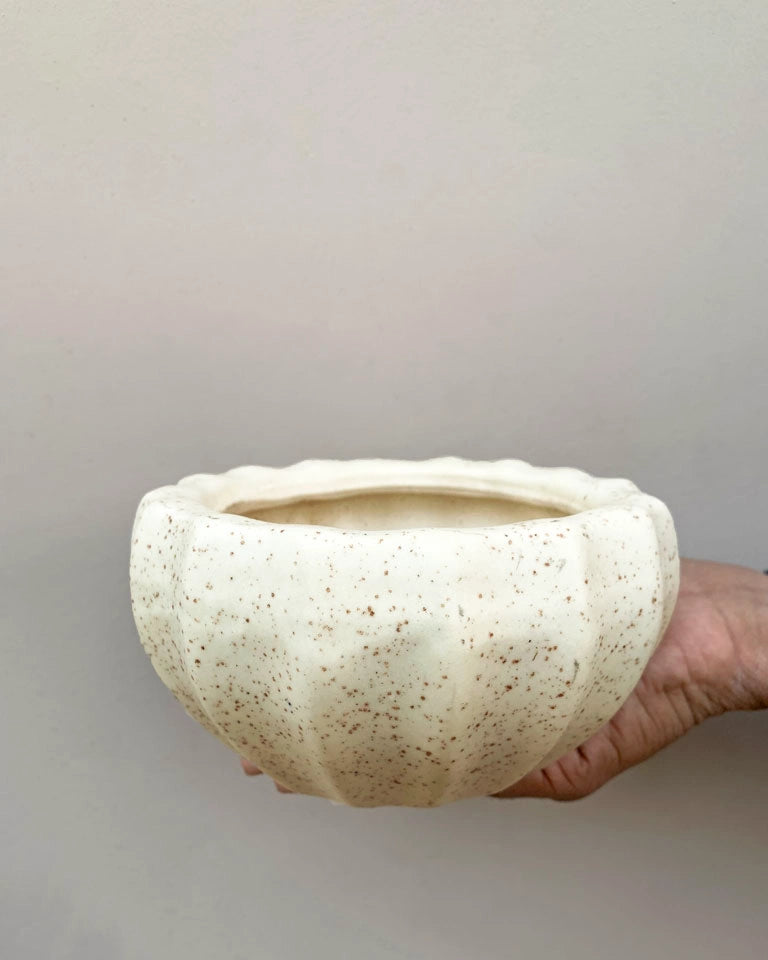 Oatmeal Bowl Ceramic Planter