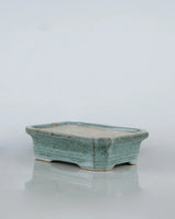 Large Rectangle bonsai Pots online, Unlimited Greens