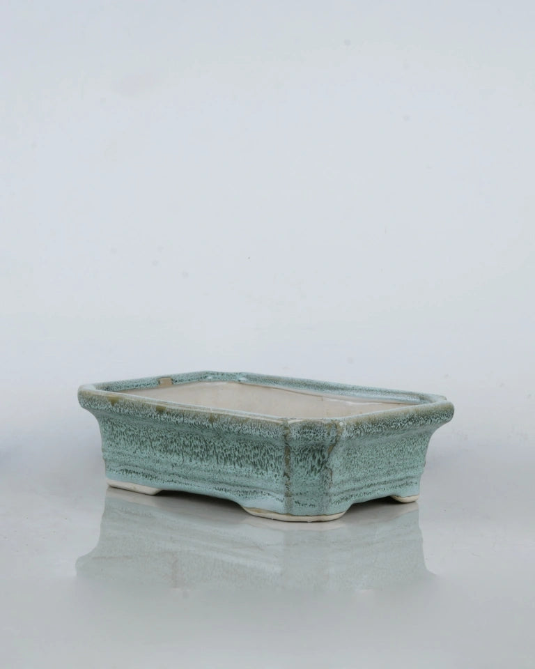 Large Rectangle bonsai Pots online, Unlimited Greens