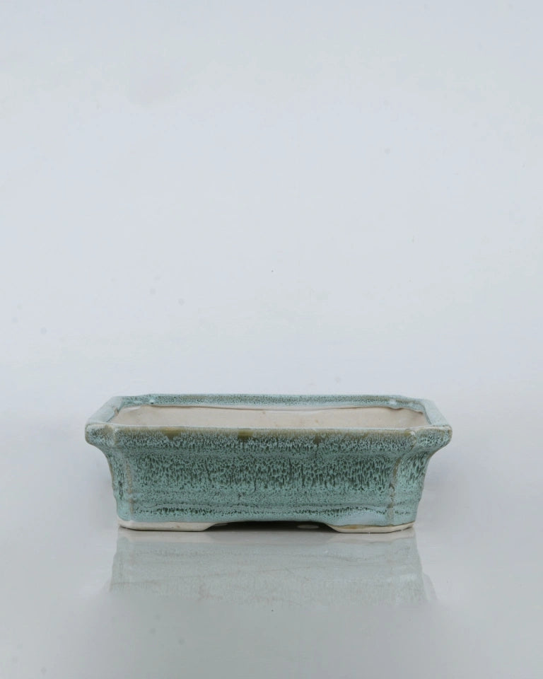 Rectangle Bonsai Tray, Unlimited Greens