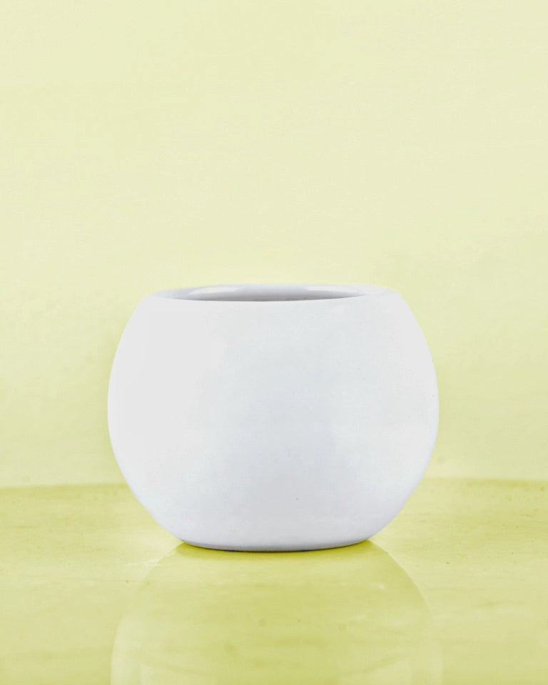 Round Small Ceramic Pot