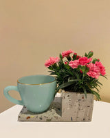 Rumba Terrazzo Concrete Table Planter & Coaster, Unlimited Greens