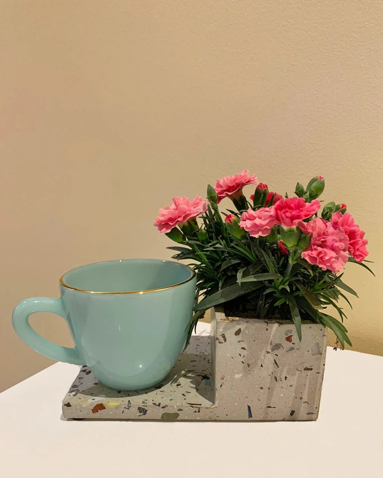 Rumba Terrazzo Concrete Table Planter & Coaster, Unlimited Greens