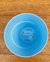 Self-Watering Pot