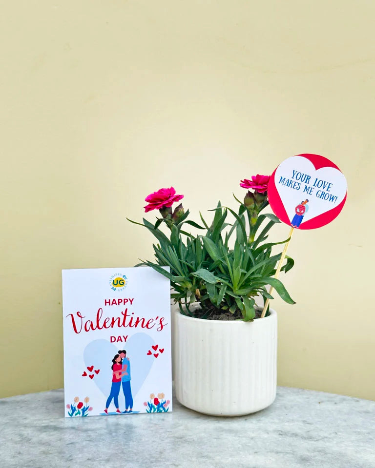 Love in the soil Valentine Day Gift